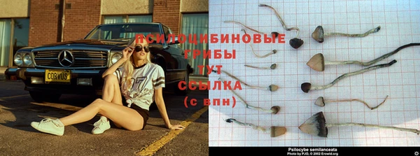 метадон Анива