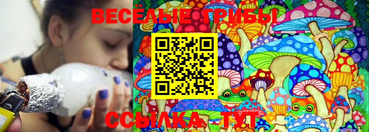 Галлюциногенные грибы MAGIC MUSHROOMS  Коммунар  цены наркотик  Галлюциногенные грибы ЛСД 