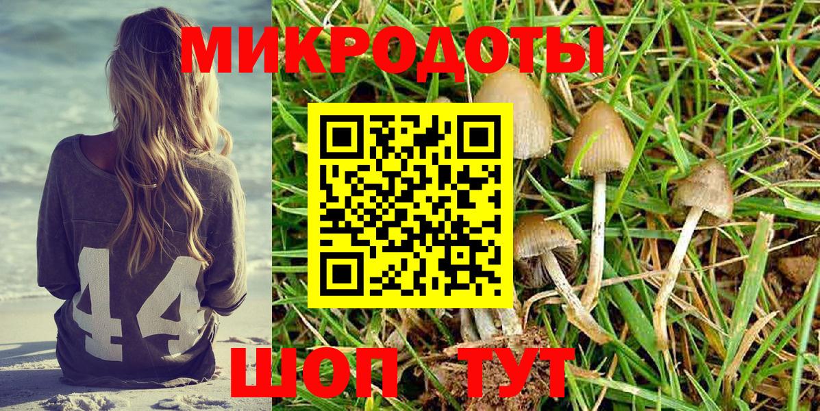 Коммунар  Псилоцибиновые грибы мухоморы  Вход с VPN 
