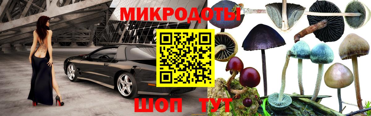 Галлюциногенные грибы мицелий Коммунар